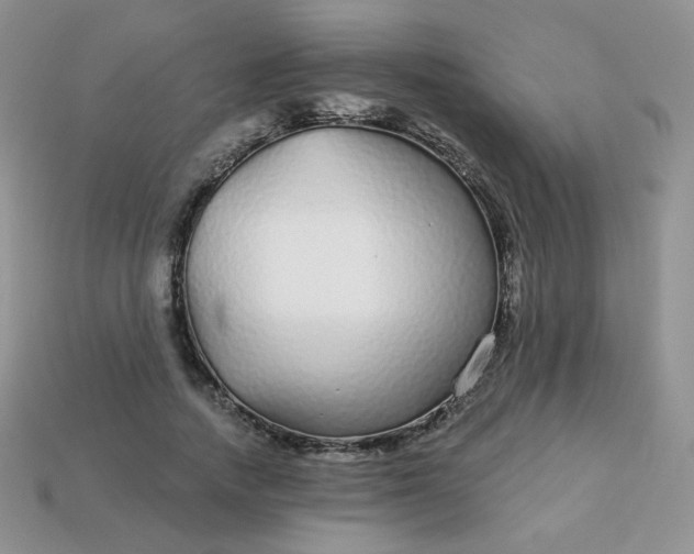 X0000114160738200910221607