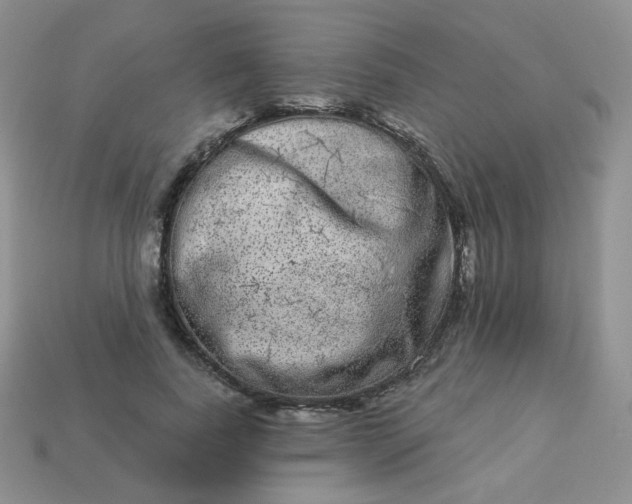 X0000114160739200910221607