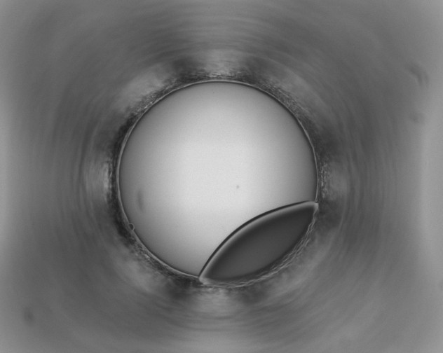 X0000114160740200910221608