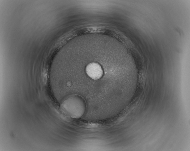 X0000114160741200910221608