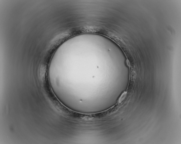 X0000114160742200910221608