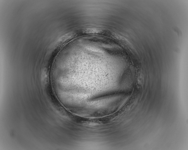 X0000114160743200910221608