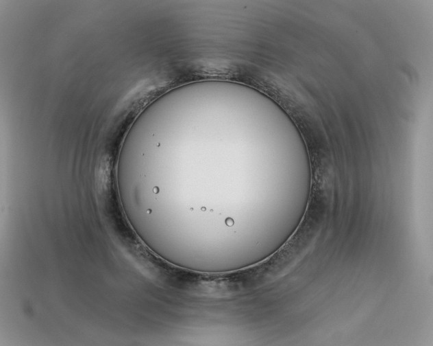 X0000114160744200910221608