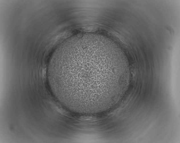 X0000114160745200910221608