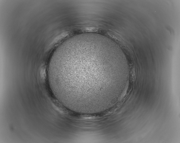 X0000114160746200910221608