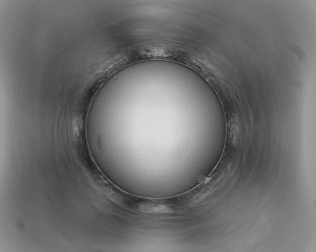 X0000114160747200910221608