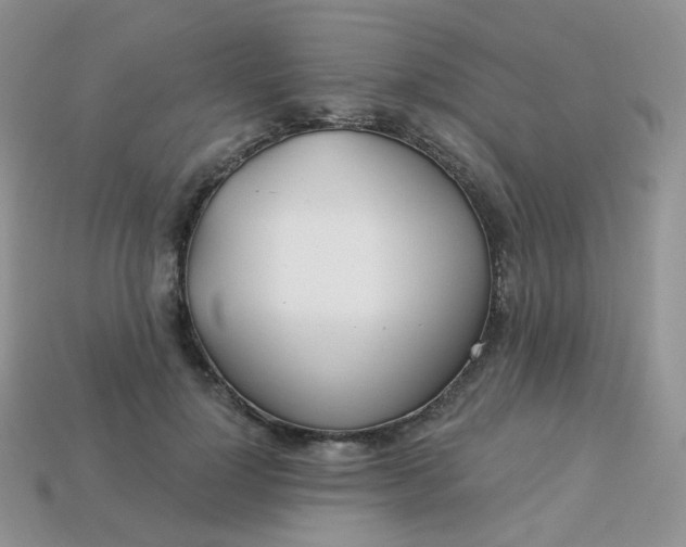 X0000114160748200910221608