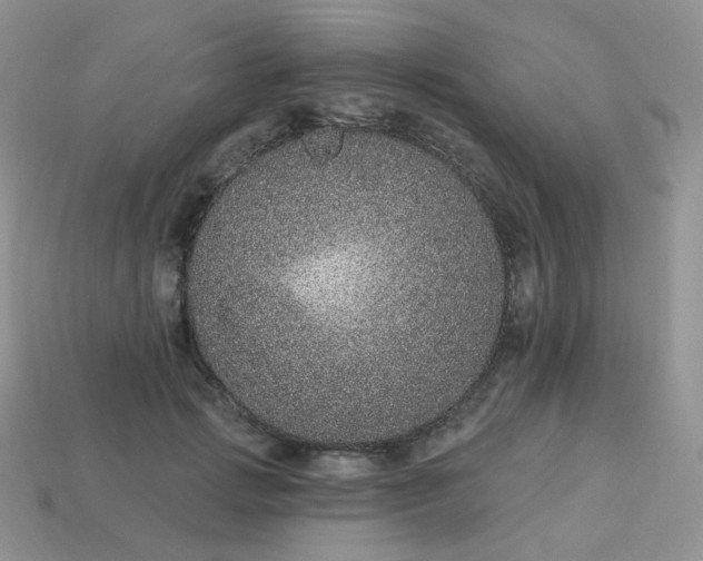 X0000114160749200910221608