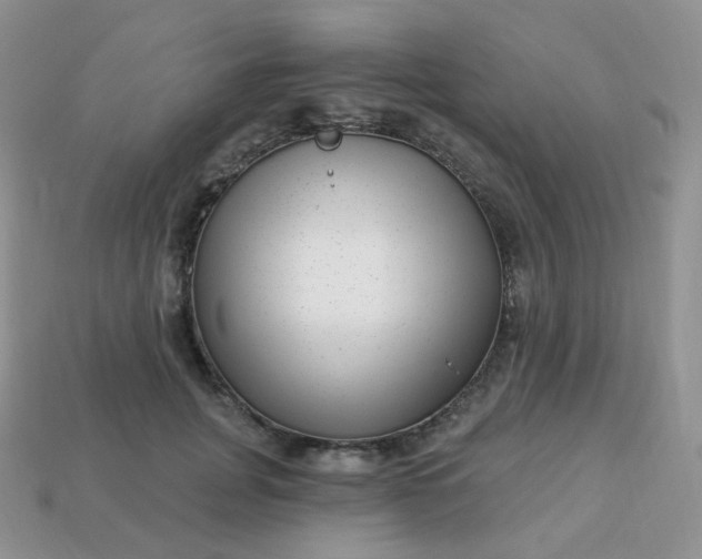 X0000114160751200910221608