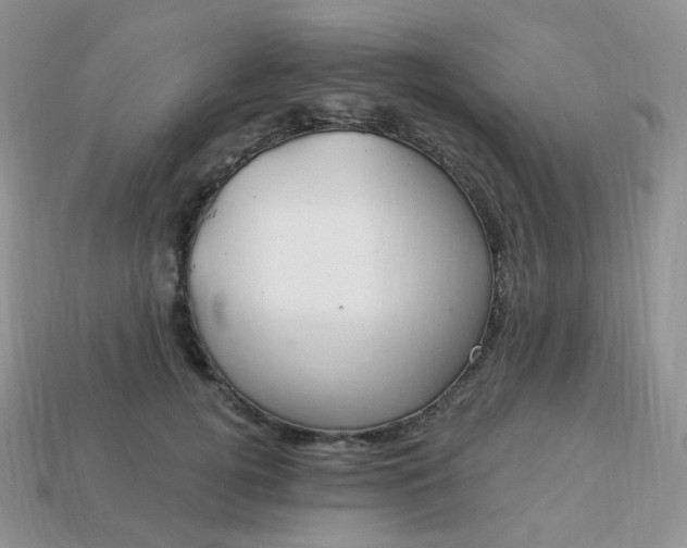 X0000114160752200910221608