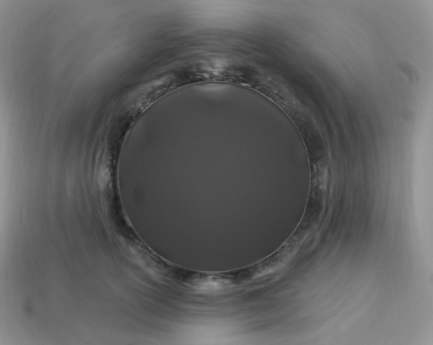 X0000114160754200910221608