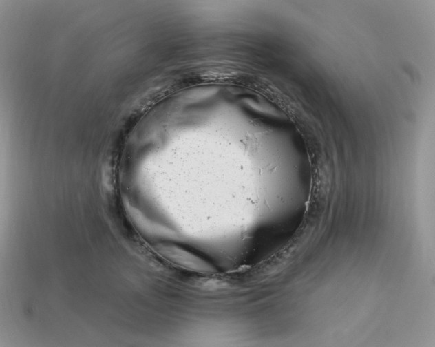 X0000114160755200910221608