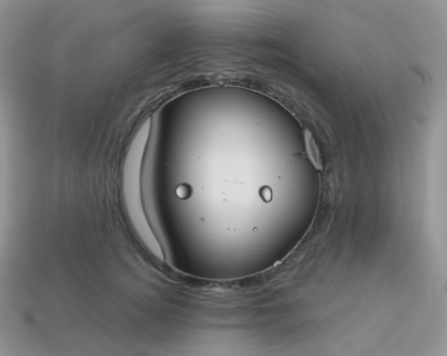 X0000114160756200910221608