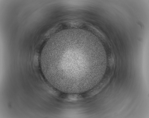 X0000114160757200910221608