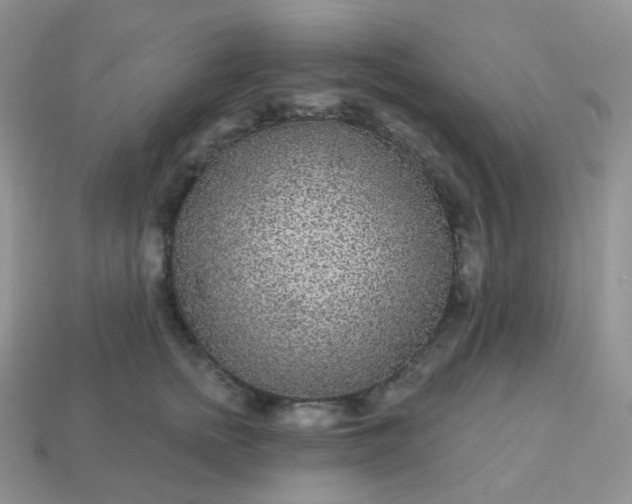 X0000114160758200910221608