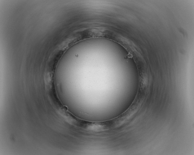 X0000114160759200910221608