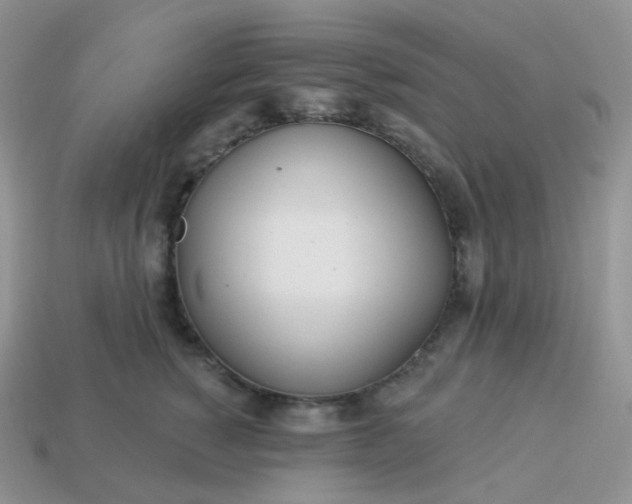 X0000114160760200910221608