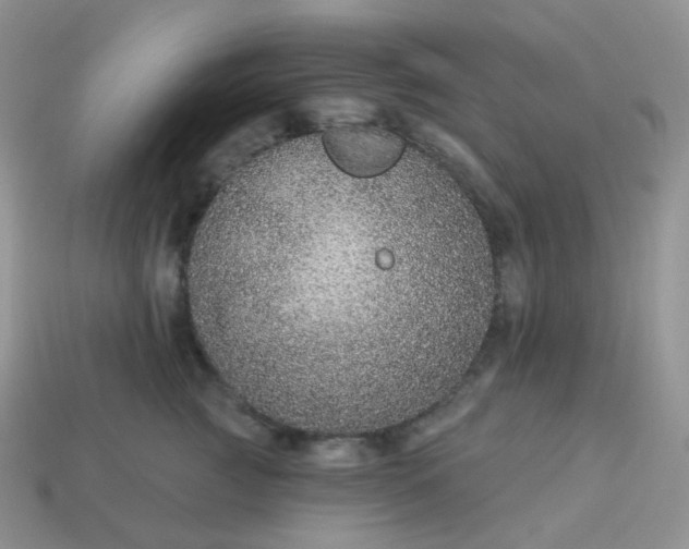 X0000114160761200910221608