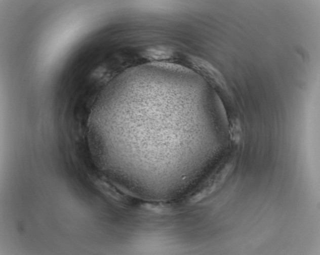 X0000114160763200910221608