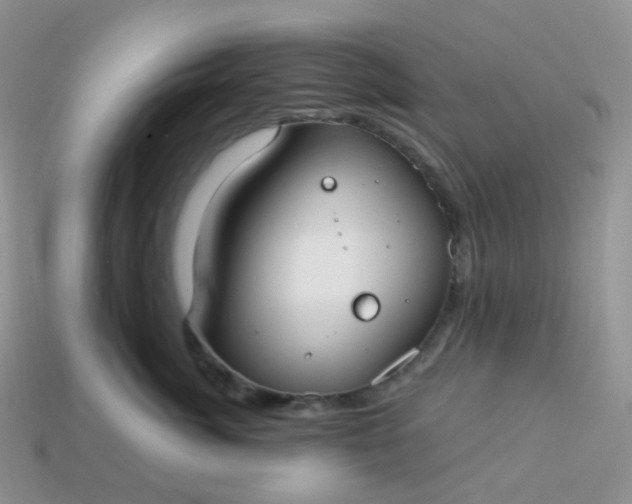 X0000114160764200910221608