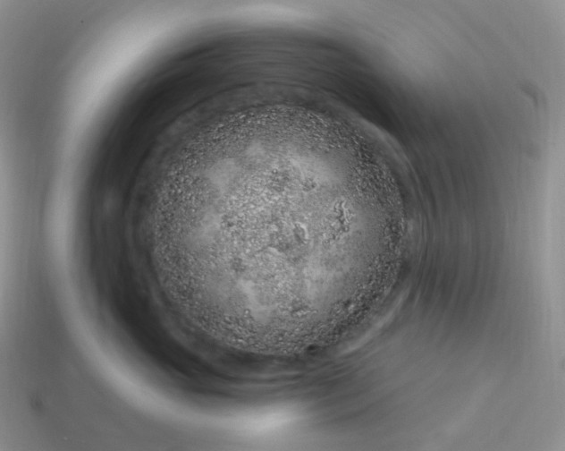 X0000114160765200910221608