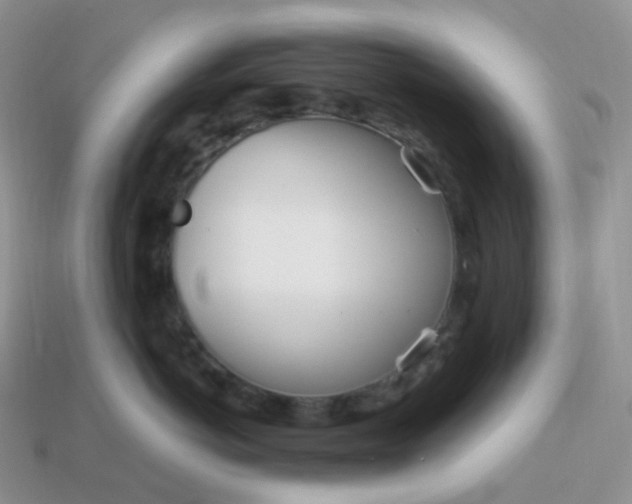 X0000114160766200910221608