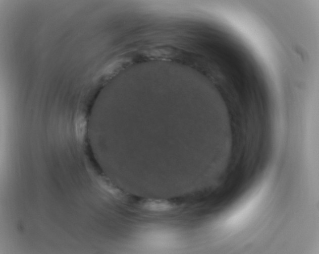 X0000114160767200910221608