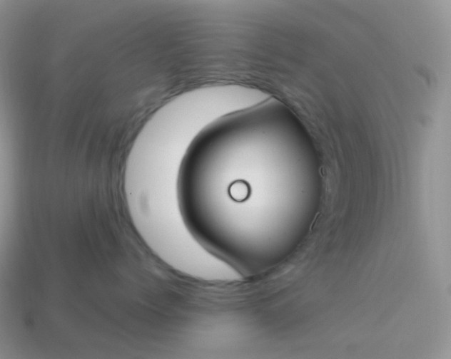 X0000114160768200910221608