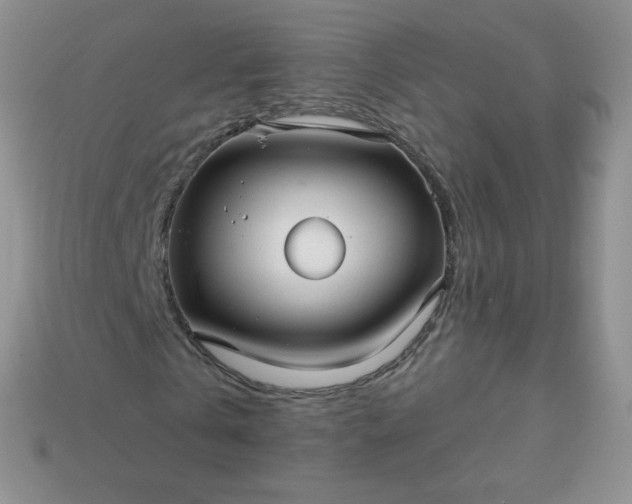 X0000114160769200910221607