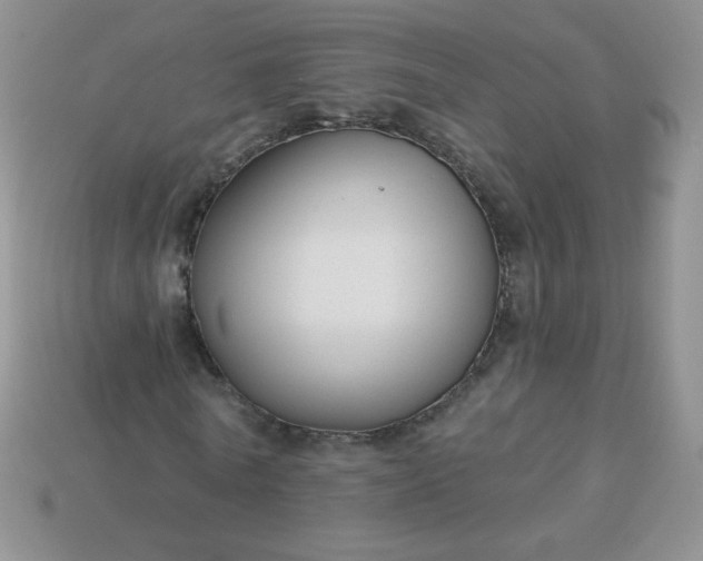 X0000114160770200910221607