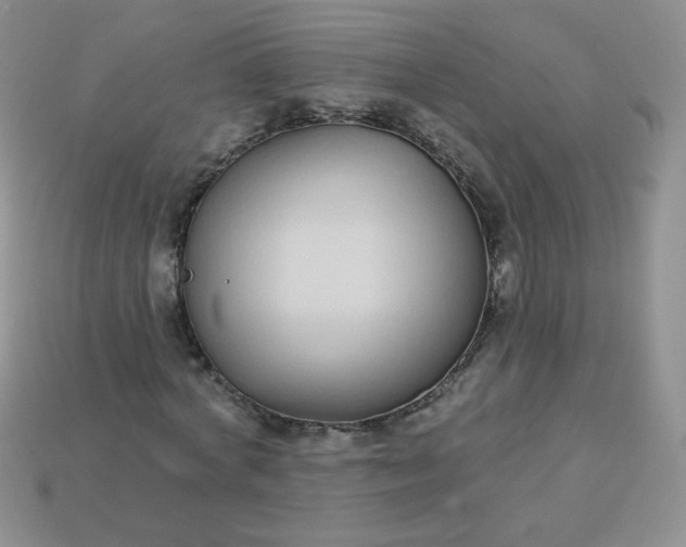 X0000114160772200910221607