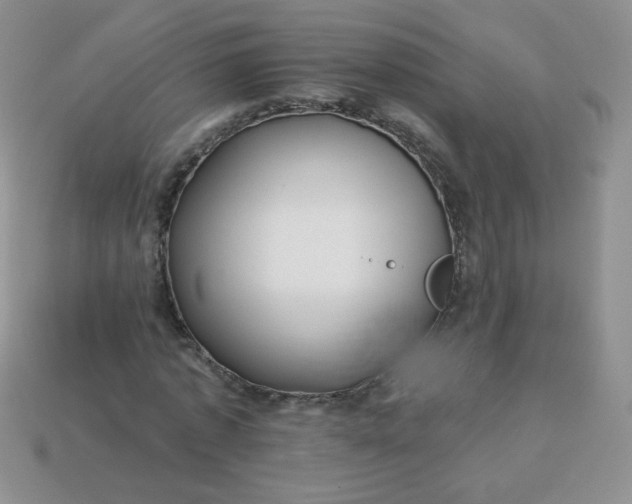 X0000114160773200910221607