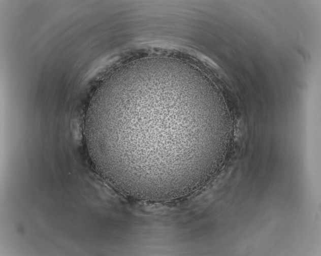 X0000114160774200910221607