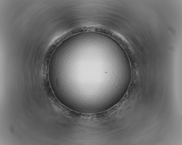 X0000114160775200910221607