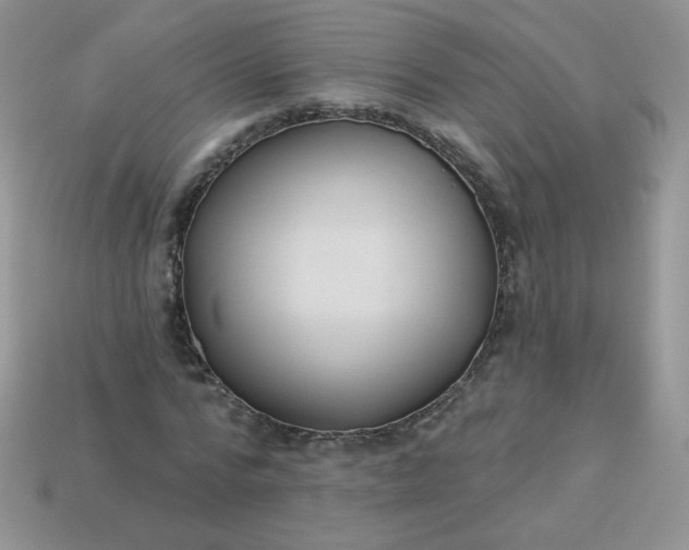 X0000114160776200910221607