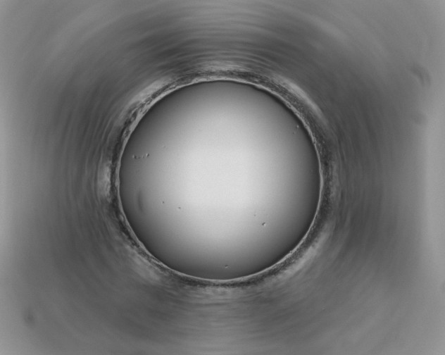 X0000114160777200910221607