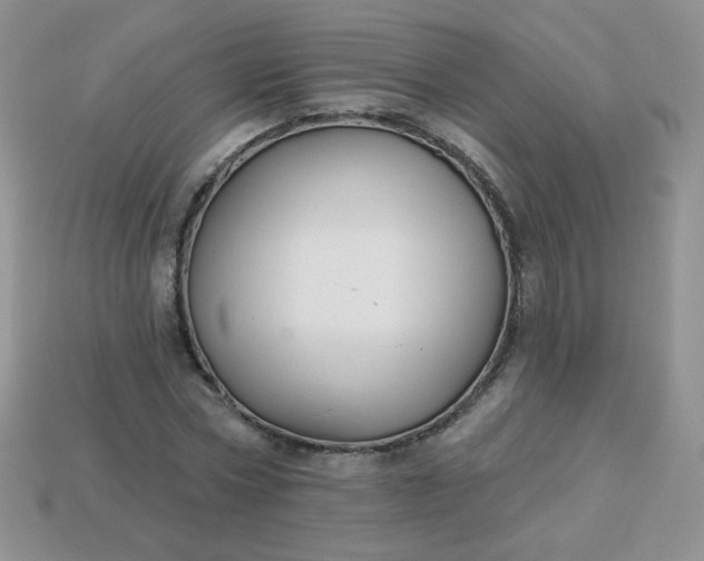 X0000114160778200910221607