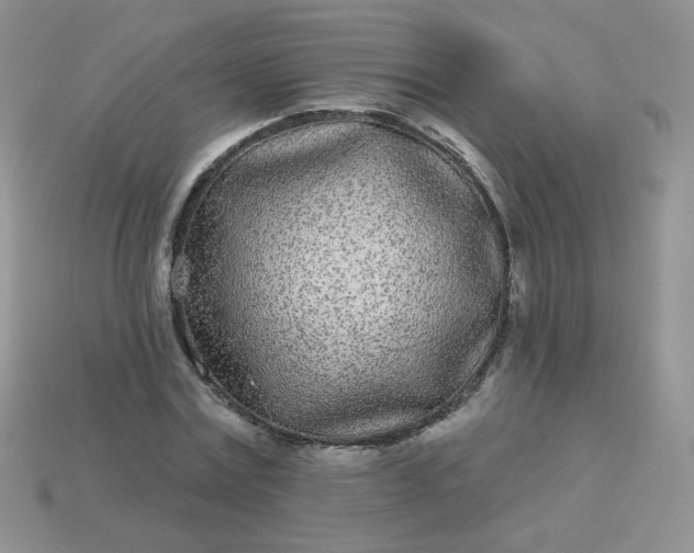 X0000114160779200910221607