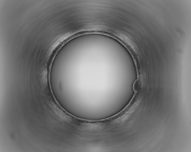 X0000114160781200910221607