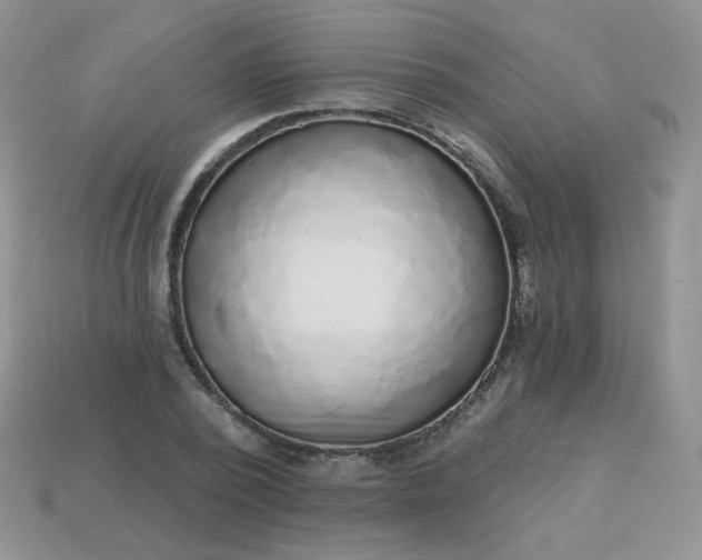 X0000114160784200910221607