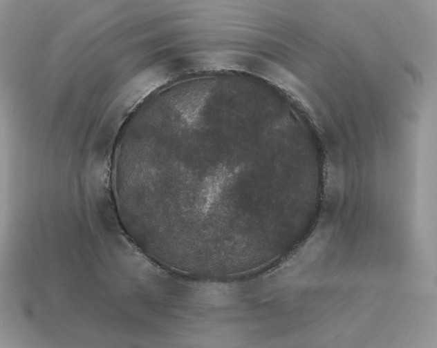 X0000114160785200910221607