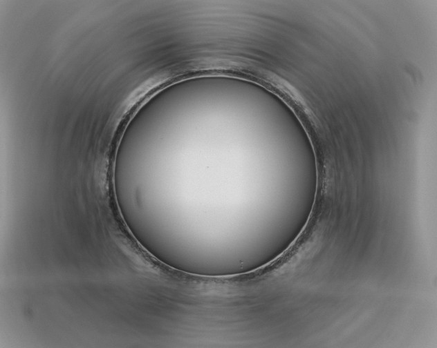 X0000114160786200910221607