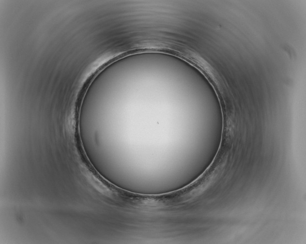 X0000114160787200910221607