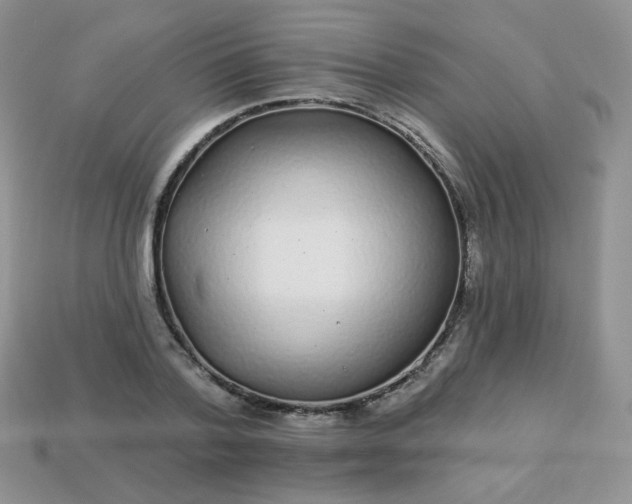 X0000114160788200910221607