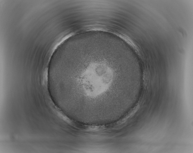 X0000114160790200910221607