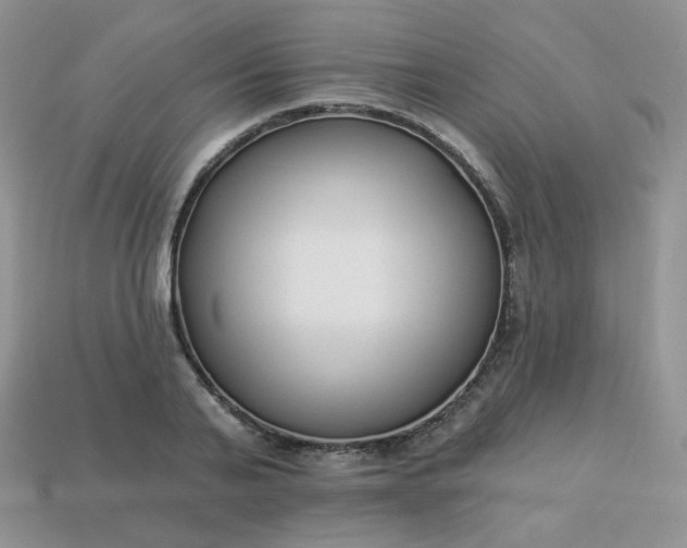 X0000114160791200910221607