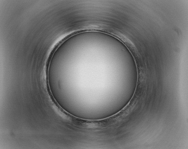 X0000114160792200910221607