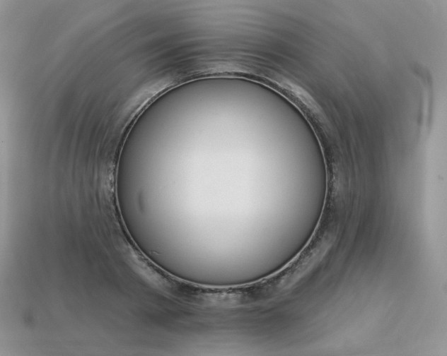 X0000114160793200910221607