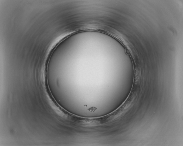 X0000114160795200910221607