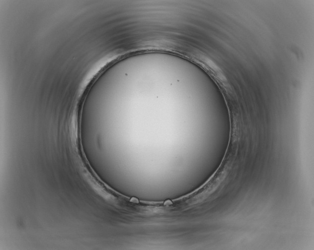 X0000114160796200910221607